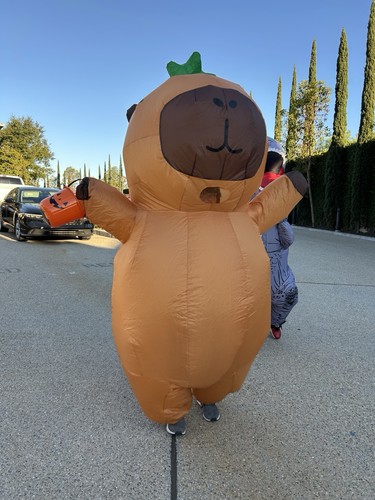 Inflatable capybara costume - inflatable,